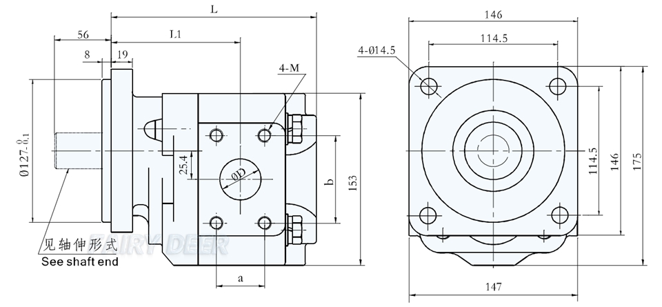 hydraulic gear pump outline dimension